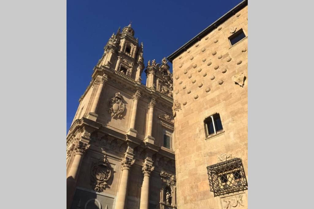 Edificio Del Siglo XVIII Restaurado La Ranita Salamantina Daire Salamanca Dış mekan fotoğraf