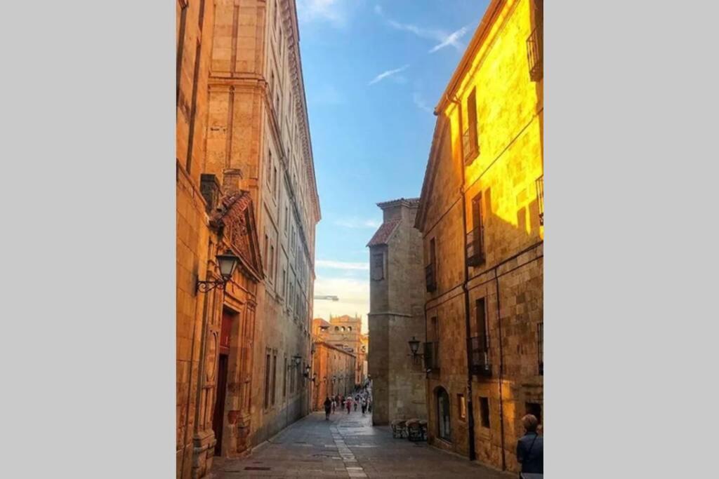 Edificio Del Siglo XVIII Restaurado La Ranita Salamantina Daire Salamanca Dış mekan fotoğraf